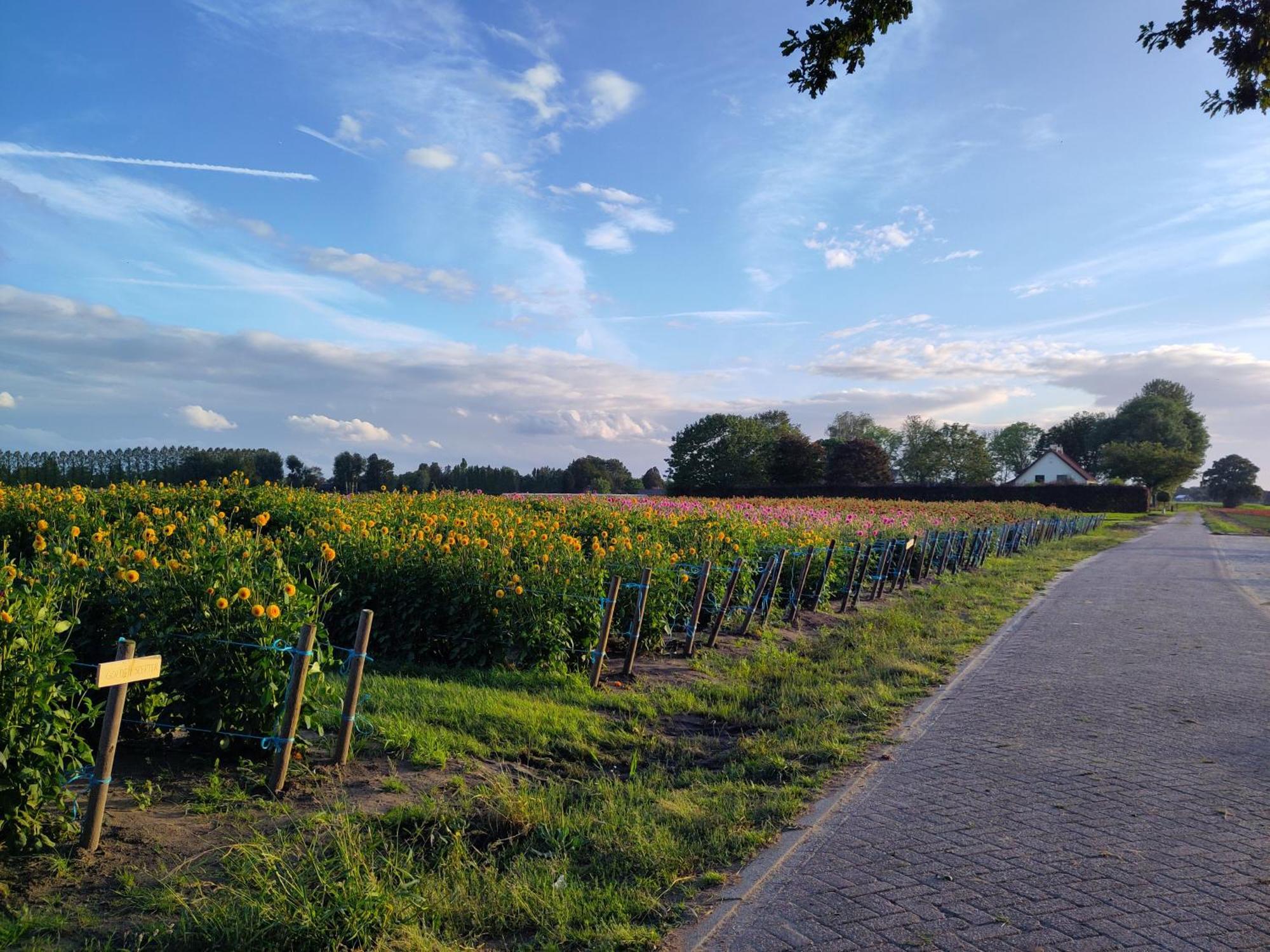 'T Voske Bed & Breakfast Zundert Exterior photo