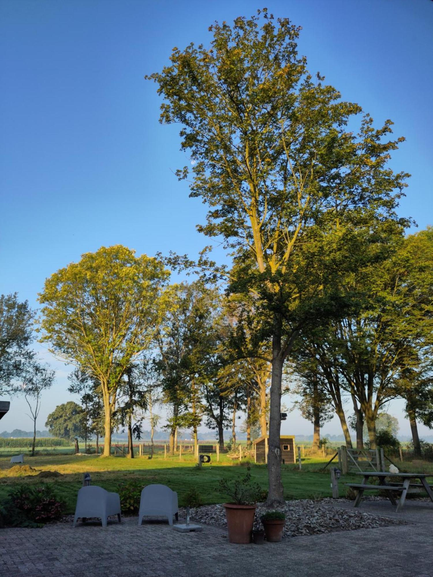 'T Voske Bed & Breakfast Zundert Exterior photo